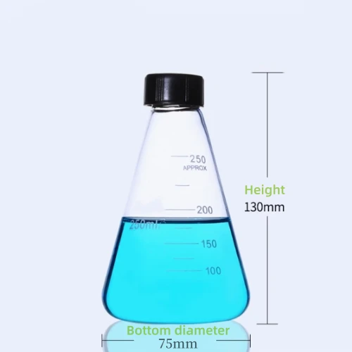 10l Erlenmeyer Flask
